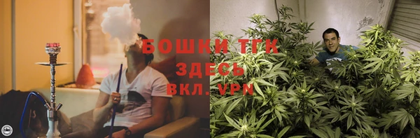 PSILOCYBIN Инсар